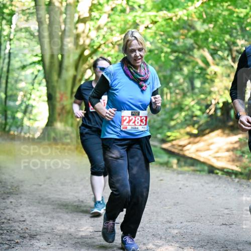 28.09.2025 - 33. Volkslauf durch das schöne Alstertal Dr. Thomas Lammeyer http://msf.ph/oto/8955771 28.09.2025 10:42:33 Laufen 2283, 2332 meine-sportfotos.de