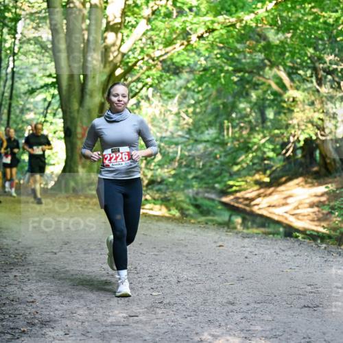 28.09.2025 - 33. Volkslauf durch das schöne Alstertal Dr. Thomas Lammeyer http://msf.ph/oto/8955786 28.09.2025 10:42:42 Laufen 2226 meine-sportfotos.de