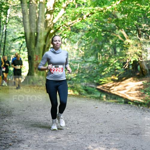 28.09.2025 - 33. Volkslauf durch das schöne Alstertal Dr. Thomas Lammeyer http://msf.ph/oto/8955788 28.09.2025 10:42:42 Laufen 2226 meine-sportfotos.de