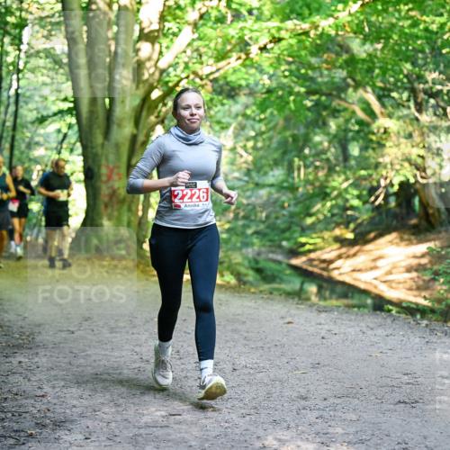 28.09.2025 - 33. Volkslauf durch das schöne Alstertal Dr. Thomas Lammeyer http://msf.ph/oto/8955789 28.09.2025 10:42:42 Laufen 2226 meine-sportfotos.de