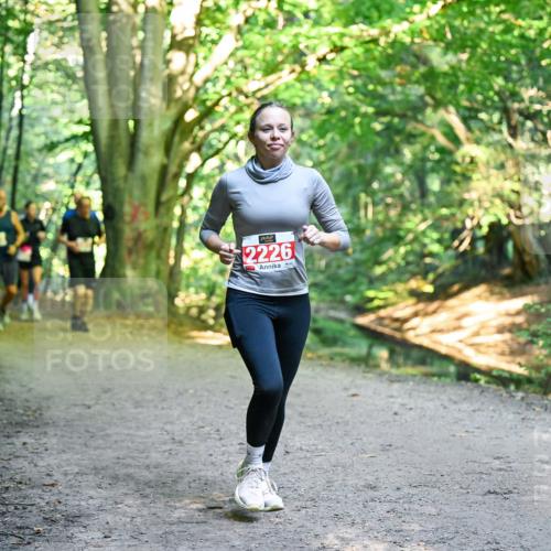 28.09.2025 - 33. Volkslauf durch das schöne Alstertal Dr. Thomas Lammeyer http://msf.ph/oto/8955791 28.09.2025 10:42:43 Laufen 2226 meine-sportfotos.de