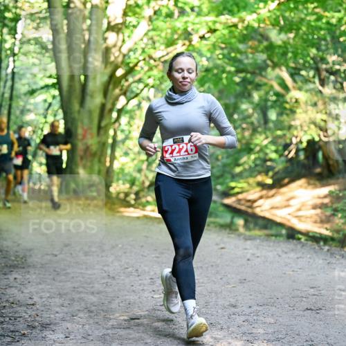 28.09.2025 - 33. Volkslauf durch das schöne Alstertal Dr. Thomas Lammeyer http://msf.ph/oto/8955792 28.09.2025 10:42:43 Laufen 2226 meine-sportfotos.de
