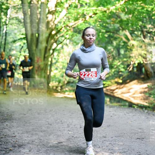 28.09.2025 - 33. Volkslauf durch das schöne Alstertal Dr. Thomas Lammeyer http://msf.ph/oto/8955793 28.09.2025 10:42:43 Laufen 2226 meine-sportfotos.de