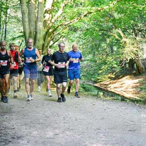 28.09.2025 - 33. Volkslauf durch das schöne Alstertal Dr. Thomas Lammeyer http://msf.ph/oto/8955798 28.09.2025 10:42:46 Laufen 2121, 33, 415 meine-sportfotos.de
