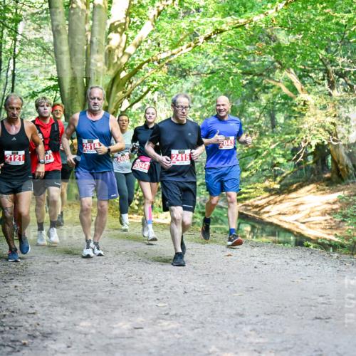 28.09.2025 - 33. Volkslauf durch das schöne Alstertal Dr. Thomas Lammeyer http://msf.ph/oto/8955804 28.09.2025 10:42:47 Laufen 2121, 251, 2650, 2044, 2415 meine-sportfotos.de