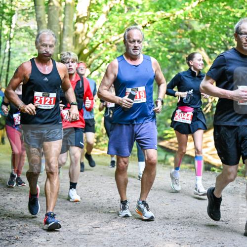 28.09.2025 - 33. Volkslauf durch das schöne Alstertal Dr. Thomas Lammeyer http://msf.ph/oto/8955816 28.09.2025 10:42:48 Laufen 2121, 19, 2044, 15 meine-sportfotos.de