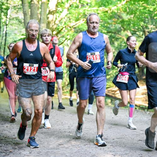 28.09.2025 - 33. Volkslauf durch das schöne Alstertal Dr. Thomas Lammeyer http://msf.ph/oto/8955817 28.09.2025 10:42:48 Laufen 2121, 013, 2519, 2044, 2415 meine-sportfotos.de