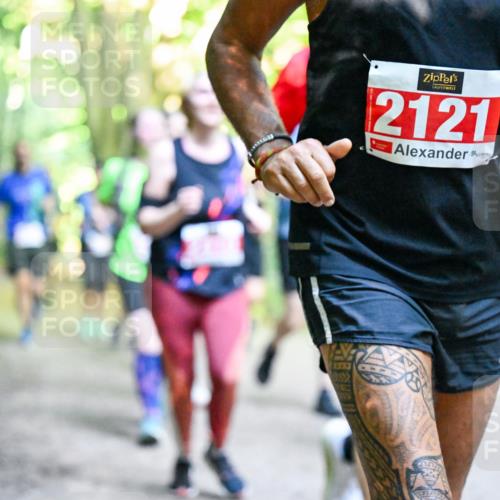 28.09.2025 - 33. Volkslauf durch das schöne Alstertal Dr. Thomas Lammeyer http://msf.ph/oto/8955829 28.09.2025 10:42:50 Laufen 1337, 2121 meine-sportfotos.de