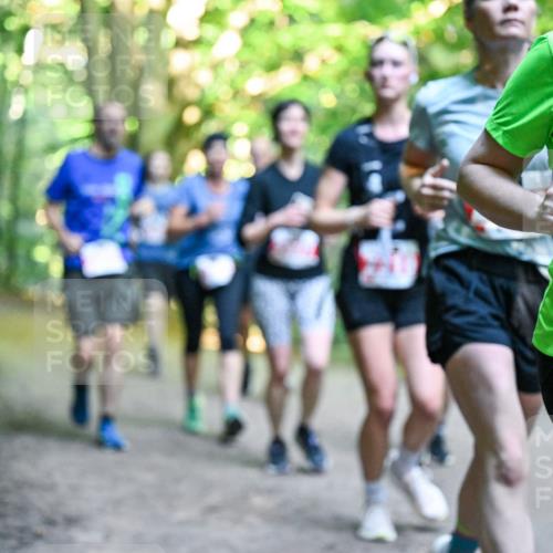 28.09.2025 - 33. Volkslauf durch das schöne Alstertal Dr. Thomas Lammeyer http://msf.ph/oto/8955841 28.09.2025 10:42:52 Laufen 25 meine-sportfotos.de