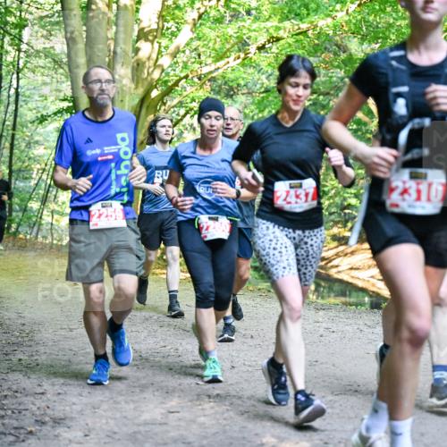 28.09.2025 - 33. Volkslauf durch das schöne Alstertal Dr. Thomas Lammeyer http://msf.ph/oto/8955842 28.09.2025 10:42:53 Laufen 2259, 2437, 2310 meine-sportfotos.de