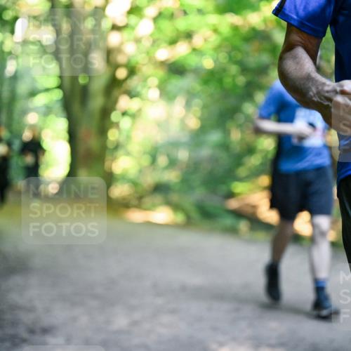 28.09.2025 - 33. Volkslauf durch das schöne Alstertal Dr. Thomas Lammeyer http://msf.ph/oto/8955856 28.09.2025 10:42:55 Laufen 2 meine-sportfotos.de