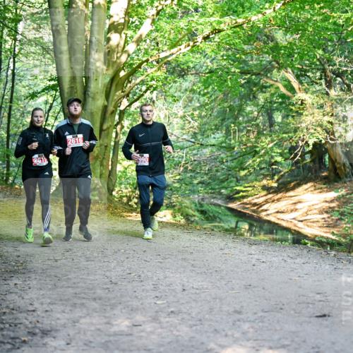 28.09.2025 - 33. Volkslauf durch das schöne Alstertal Dr. Thomas Lammeyer http://msf.ph/oto/8955862 28.09.2025 10:42:58 Laufen 2615, 2616, 990 meine-sportfotos.de