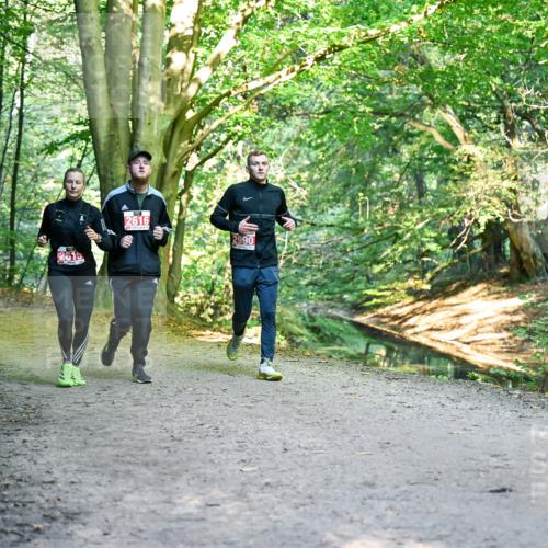 28.09.2025 - 33. Volkslauf durch das schöne Alstertal Dr. Thomas Lammeyer http://msf.ph/oto/8955864 28.09.2025 10:42:58 Laufen 2616, 2990 meine-sportfotos.de