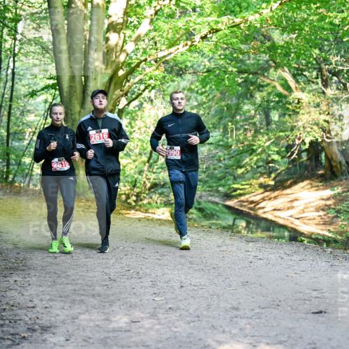 28.09.2025 - 33. Volkslauf durch das schöne Alstertal Dr. Thomas Lammeyer http://msf.ph/oto/8955867 28.09.2025 10:42:59 Laufen 2615, 2616, 2990 meine-sportfotos.de