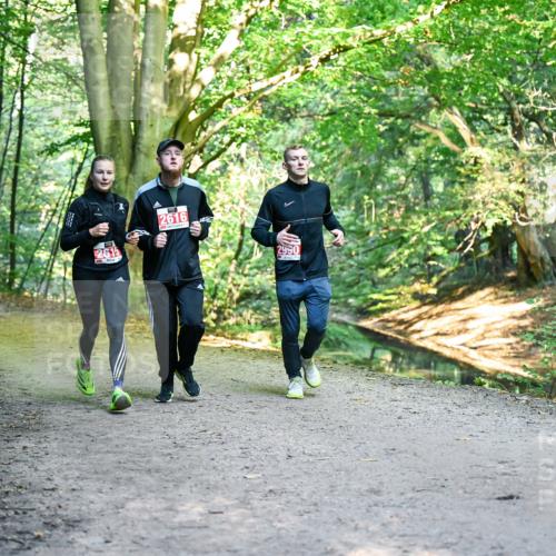 28.09.2025 - 33. Volkslauf durch das schöne Alstertal Dr. Thomas Lammeyer http://msf.ph/oto/8955868 28.09.2025 10:42:59 Laufen 2615, 2616, 2990 meine-sportfotos.de