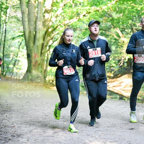 28.09.2025 - 33. Volkslauf durch das schöne Alstertal Dr. Thomas Lammeyer http://msf.ph/oto/8955877 28.09.2025 10:43:00 Laufen 2616, 2990 meine-sportfotos.de