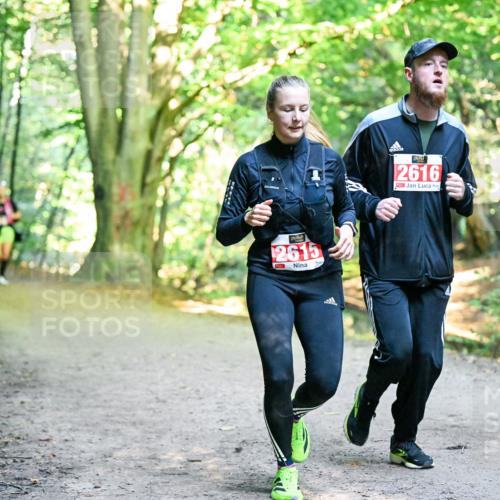 28.09.2025 - 33. Volkslauf durch das schöne Alstertal Dr. Thomas Lammeyer http://msf.ph/oto/8955880 28.09.2025 10:43:01 Laufen 2615, 2616, 990 meine-sportfotos.de