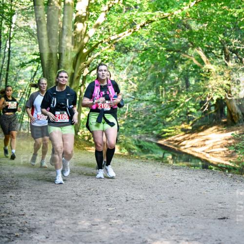 28.09.2025 - 33. Volkslauf durch das schöne Alstertal Dr. Thomas Lammeyer http://msf.ph/oto/8955889 28.09.2025 10:43:07 Laufen 2404, 256, 2106, 2105 meine-sportfotos.de