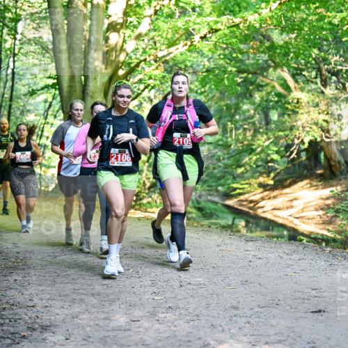 28.09.2025 - 33. Volkslauf durch das schöne Alstertal Dr. Thomas Lammeyer http://msf.ph/oto/8955894 28.09.2025 10:43:07 Laufen 2404, 23, 2106, 2105 meine-sportfotos.de