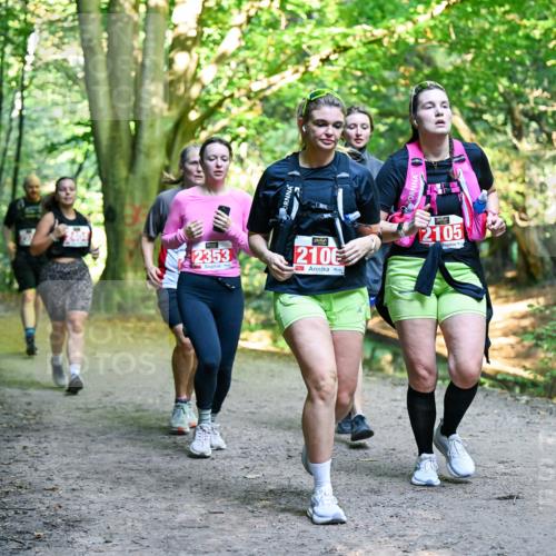 28.09.2025 - 33. Volkslauf durch das schöne Alstertal Dr. Thomas Lammeyer http://msf.ph/oto/8955902 28.09.2025 10:43:08 Laufen 2353, 2105, 2106 meine-sportfotos.de