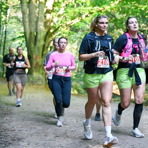 28.09.2025 - 33. Volkslauf durch das schöne Alstertal Dr. Thomas Lammeyer http://msf.ph/oto/8955904 28.09.2025 10:43:08 Laufen 2353, 2106, 105 meine-sportfotos.de