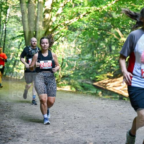 28.09.2025 - 33. Volkslauf durch das schöne Alstertal Dr. Thomas Lammeyer http://msf.ph/oto/8955916 28.09.2025 10:43:10 Laufen 2404, 256 meine-sportfotos.de