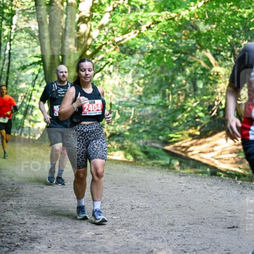 28.09.2025 - 33. Volkslauf durch das schöne Alstertal Dr. Thomas Lammeyer http://msf.ph/oto/8955917 28.09.2025 10:43:10 Laufen 2404, 2566 meine-sportfotos.de
