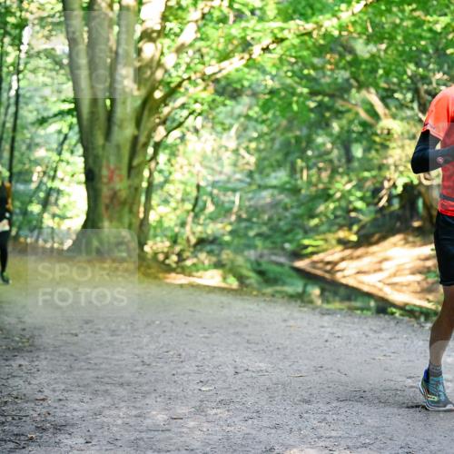 28.09.2025 - 33. Volkslauf durch das schöne Alstertal Dr. Thomas Lammeyer http://msf.ph/oto/8955937 28.09.2025 10:43:13 Laufen 3384 meine-sportfotos.de