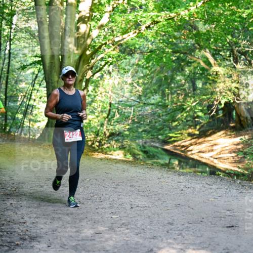 28.09.2025 - 33. Volkslauf durch das schöne Alstertal Dr. Thomas Lammeyer http://msf.ph/oto/8955941 28.09.2025 10:43:17 Laufen  meine-sportfotos.de