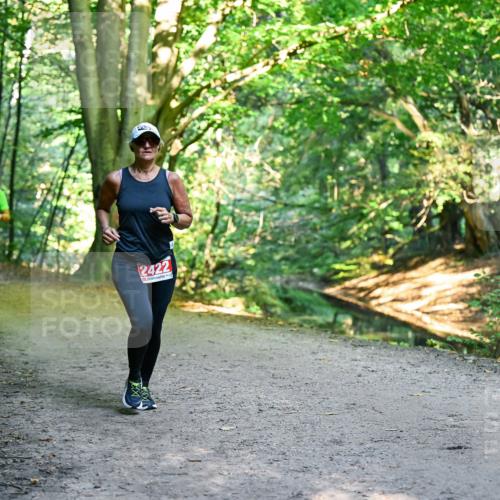 28.09.2025 - 33. Volkslauf durch das schöne Alstertal Dr. Thomas Lammeyer http://msf.ph/oto/8955942 28.09.2025 10:43:17 Laufen 2422 meine-sportfotos.de