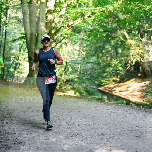 28.09.2025 - 33. Volkslauf durch das schöne Alstertal Dr. Thomas Lammeyer http://msf.ph/oto/8955943 28.09.2025 10:43:17 Laufen 2422 meine-sportfotos.de