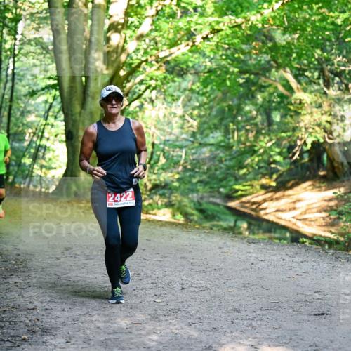 28.09.2025 - 33. Volkslauf durch das schöne Alstertal Dr. Thomas Lammeyer http://msf.ph/oto/8955944 28.09.2025 10:43:17 Laufen 2422 meine-sportfotos.de