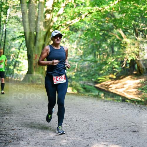28.09.2025 - 33. Volkslauf durch das schöne Alstertal Dr. Thomas Lammeyer http://msf.ph/oto/8955946 28.09.2025 10:43:18 Laufen 2422 meine-sportfotos.de