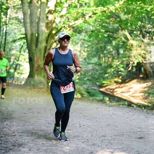 28.09.2025 - 33. Volkslauf durch das schöne Alstertal Dr. Thomas Lammeyer http://msf.ph/oto/8955947 28.09.2025 10:43:18 Laufen 2422 meine-sportfotos.de