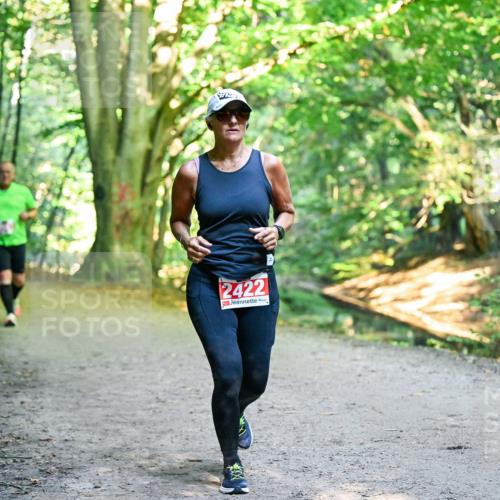 28.09.2025 - 33. Volkslauf durch das schöne Alstertal Dr. Thomas Lammeyer http://msf.ph/oto/8955950 28.09.2025 10:43:18 Laufen 2422 meine-sportfotos.de