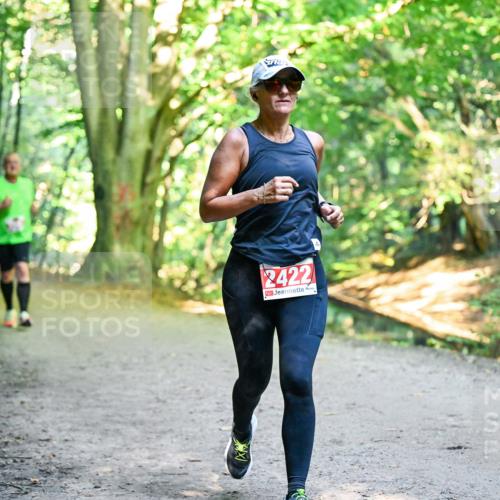 28.09.2025 - 33. Volkslauf durch das schöne Alstertal Dr. Thomas Lammeyer http://msf.ph/oto/8955952 28.09.2025 10:43:18 Laufen 2422 meine-sportfotos.de