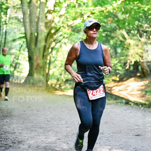 28.09.2025 - 33. Volkslauf durch das schöne Alstertal Dr. Thomas Lammeyer http://msf.ph/oto/8955953 28.09.2025 10:43:18 Laufen 2422 meine-sportfotos.de