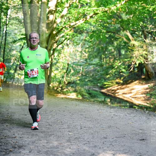 28.09.2025 - 33. Volkslauf durch das schöne Alstertal Dr. Thomas Lammeyer http://msf.ph/oto/8955957 28.09.2025 10:43:21 Laufen 2543 meine-sportfotos.de