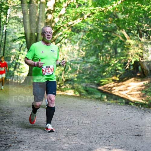 28.09.2025 - 33. Volkslauf durch das schöne Alstertal Dr. Thomas Lammeyer http://msf.ph/oto/8955960 28.09.2025 10:43:22 Laufen 2543 meine-sportfotos.de