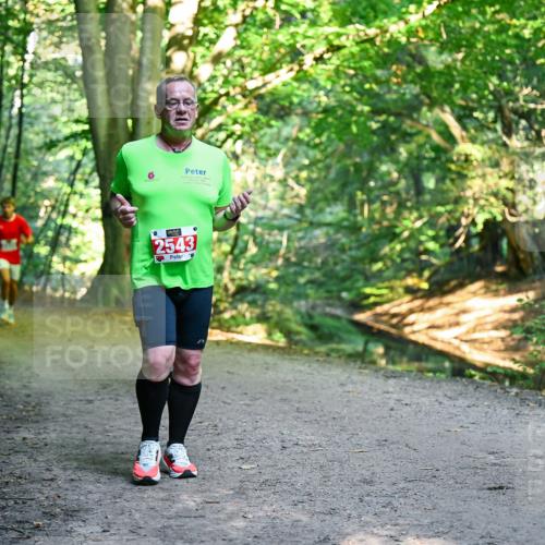 28.09.2025 - 33. Volkslauf durch das schöne Alstertal Dr. Thomas Lammeyer http://msf.ph/oto/8955961 28.09.2025 10:43:22 Laufen 2543 meine-sportfotos.de