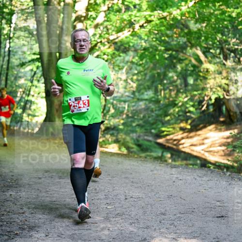 28.09.2025 - 33. Volkslauf durch das schöne Alstertal Dr. Thomas Lammeyer http://msf.ph/oto/8955962 28.09.2025 10:43:22 Laufen 2543 meine-sportfotos.de
