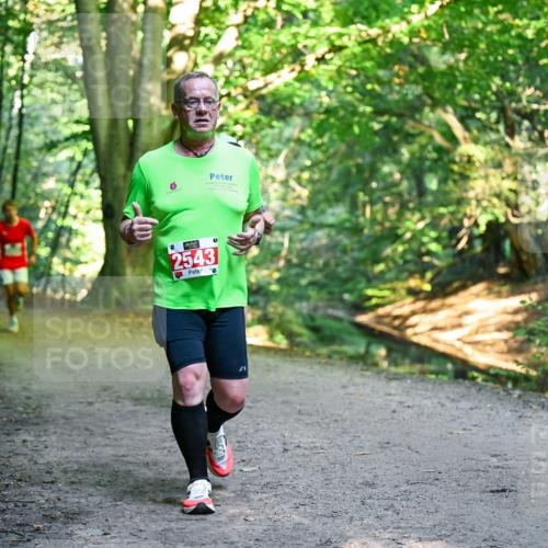 28.09.2025 - 33. Volkslauf durch das schöne Alstertal Dr. Thomas Lammeyer http://msf.ph/oto/8955963 28.09.2025 10:43:22 Laufen 2543, 0, 0 meine-sportfotos.de
