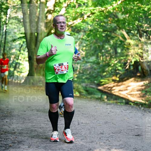 28.09.2025 - 33. Volkslauf durch das schöne Alstertal Dr. Thomas Lammeyer http://msf.ph/oto/8955964 28.09.2025 10:43:22 Laufen 2543 meine-sportfotos.de