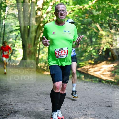 28.09.2025 - 33. Volkslauf durch das schöne Alstertal Dr. Thomas Lammeyer http://msf.ph/oto/8955968 28.09.2025 10:43:22 Laufen 2025, 2543 meine-sportfotos.de