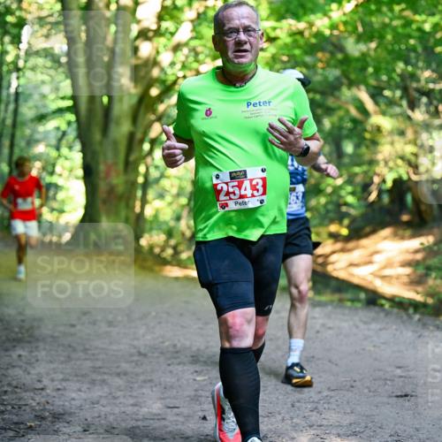 28.09.2025 - 33. Volkslauf durch das schöne Alstertal Dr. Thomas Lammeyer http://msf.ph/oto/8955969 28.09.2025 10:43:23 Laufen 2543, 0 meine-sportfotos.de