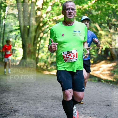 28.09.2025 - 33. Volkslauf durch das schöne Alstertal Dr. Thomas Lammeyer http://msf.ph/oto/8955970 28.09.2025 10:43:23 Laufen 20, 2543, 0 meine-sportfotos.de