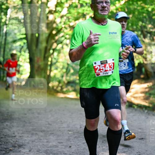 28.09.2025 - 33. Volkslauf durch das schöne Alstertal Dr. Thomas Lammeyer http://msf.ph/oto/8955971 28.09.2025 10:43:23 Laufen 2025, 2543, 363 meine-sportfotos.de