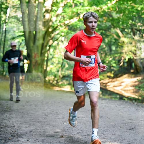 28.09.2025 - 33. Volkslauf durch das schöne Alstertal Dr. Thomas Lammeyer http://msf.ph/oto/8955980 28.09.2025 10:43:26 Laufen 0 meine-sportfotos.de