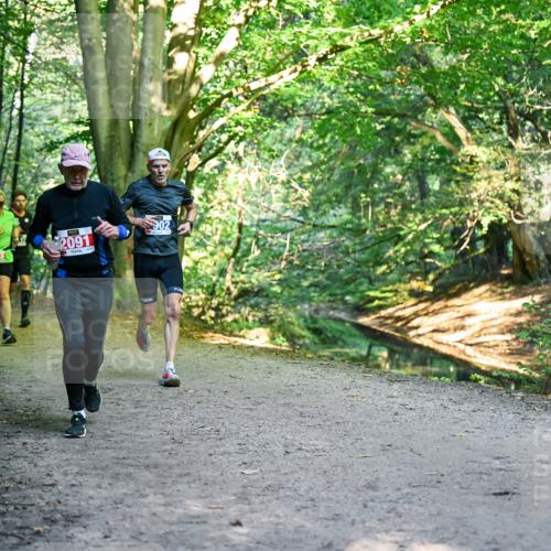 28.09.2025 - 33. Volkslauf durch das schöne Alstertal Dr. Thomas Lammeyer http://msf.ph/oto/8955984 28.09.2025 10:43:27 Laufen 2091, 902 meine-sportfotos.de