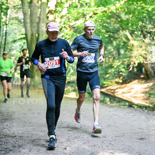 28.09.2025 - 33. Volkslauf durch das schöne Alstertal Dr. Thomas Lammeyer http://msf.ph/oto/8955994 28.09.2025 10:43:28 Laufen 2091, 3902 meine-sportfotos.de